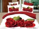 Комплект постельного белья Love You Любовь 3D
