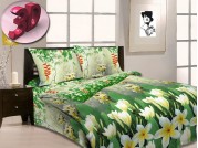 3D комплект постельного белья Руно